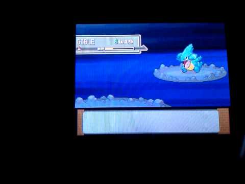 Shiny Gible on Pokemon Platinum- Badge Quest Shiny