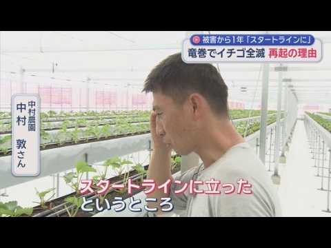 YouTube Video 苗1万2000株全滅、被害4500万円…竜巻から1年、イチゴ農家の再出発　静岡・吉田町