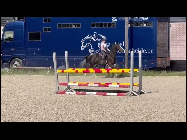 Gaits under the saddle