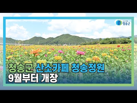 [뉴스와이드 청송] 청송뉴스 9월 1주차