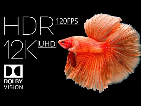 12K HDR 60FPS DOLBY VISION - TRUE CINEMATIC