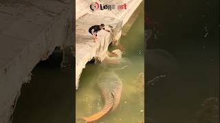 Download lagu Sempat mengamuk‼️akhirnya ikan monster ini berhasil di tangkap. #fish #amazing #shorts mp3 Download lagu Sempat mengamuk‼️akhirnya ikan monster ini berhasil di tangkap. #fish #amazing #shorts mp3