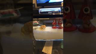 ペパーミントツノガエル アルビノ