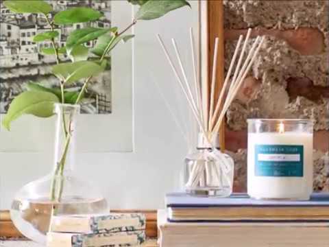 download lagu mp3 mp4 Magnolia Home Reed Diffuser Love, download lagu Magnolia Home Reed Diffuser Love gratis, unduh video klip Magnolia Home Reed Diffuser Love