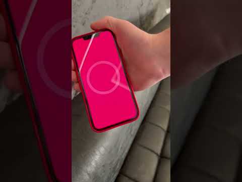 Чехол для iPhone Monblan Silicone Case with Animation & MagSafe Nectarine for iPhone 13 Pro Max