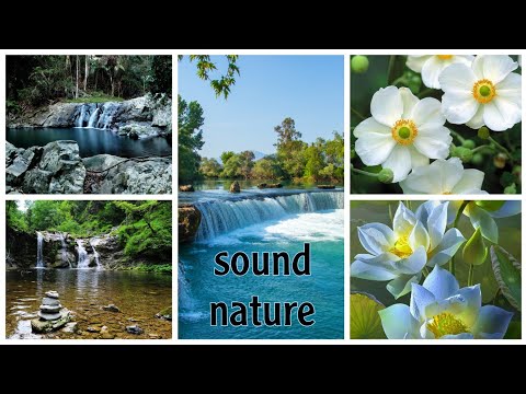 RELAX  WITH SOUND NATURE