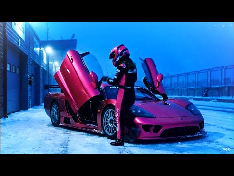 VHOSTUDIO and PinkSaleenS7R