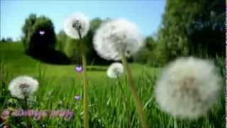 without you - Brannon (photos cover)