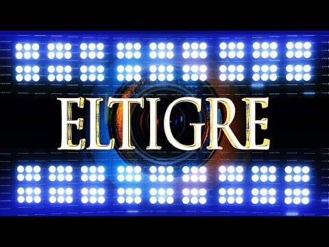 SPOTLIGHT: Vertex|ElTigre (Laura) With EXCLUSIVE interview [SF5]