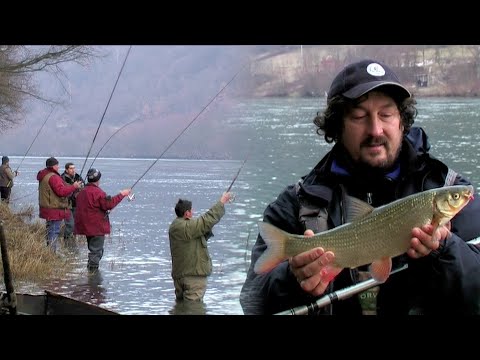 Pecanje na plovak - Skobalj - reka Drina | Fishing tips - Fishing on river Drina