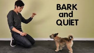 Teach Dog to Stop Barking - Treatpouch.com