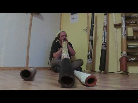 MT-Yidaki playing an E-E Djalu' Gurruwiwi yidaki / didgeridoo