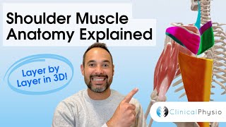 Shoulder Muscles Anatomy | Layer-by-Layer Explained for Physiotherapists