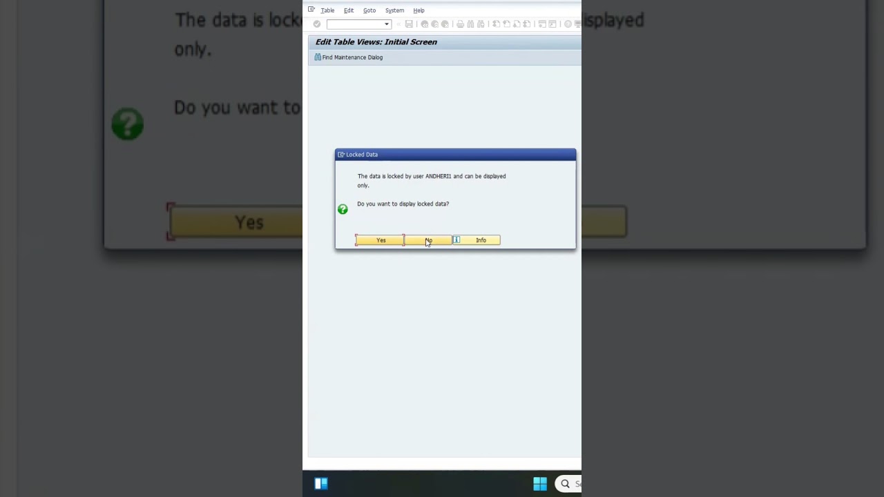 The data is locked by user ....... and can be displayed only.