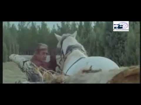 Ashab E Kahf Episode 36-40(আসহাবে কাহাফ পর্ব ৩৬-৪০