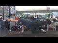 Spine Bird Dog With Internal Crunch