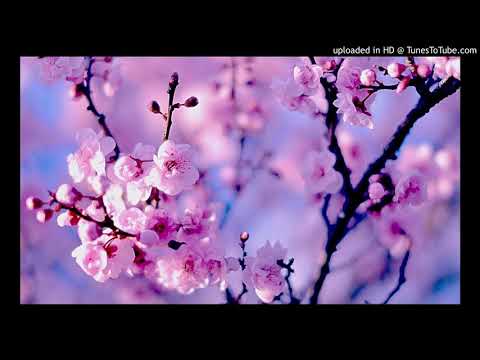 Greg Anastas - In The Garden Of Zen