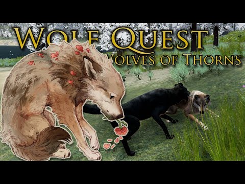 Combat with COUGARS and Invading Wolf Packs?! 🐺 Wolf Quest: Wolves of Thorns • #33