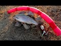 Video Thumbnail for Fishing Trout With My Pool Noodle
