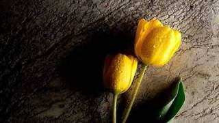 Roberto Carlos El Jardin del Vecino   * Erase una vez...*