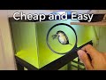 5 Practical Reasons Why You Should Keep Daphnia Over Brine Shrimp
