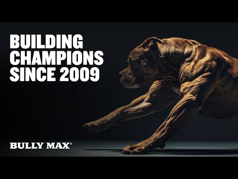 The Science Behind Bully Max High-Protein Food | 50,000 Five-Star Reviews!
