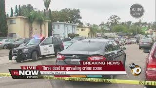Three dead in Spring Valley shooting