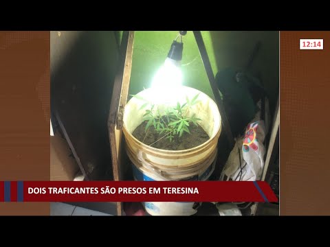 Dois traficantes saÌƒo presos em Teresina 28 09 2021