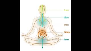 Download lagu Prana Vayus: Vyan Vayu - The Expansive Wind mp3