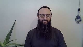 Download lagu Hitbonenut With Daniel Gigi: Ants as Teachers of Community mp3 Download lagu Hitbonenut With Daniel Gigi: Ants as Teachers of Community mp3