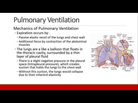 Applied Physiology for Anesthesia - 05 - PULMONARY - Part 1