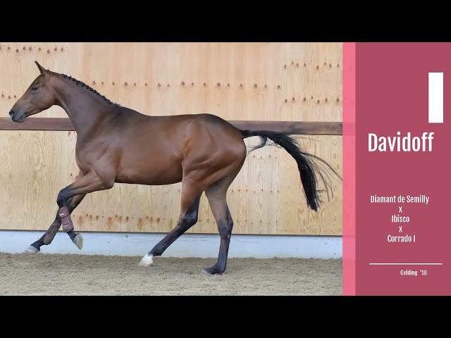 Davidoff gaits