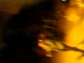 Pitbull LIVE Bojangles Altes Hallenbad Heidelberg Germany 20 11 2009