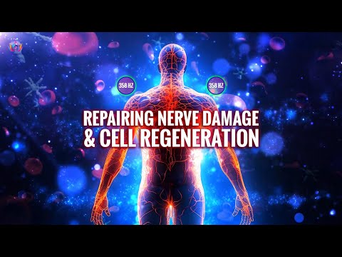 358 Hz | Repairing Nerve Damage, Cell Regeneration, And Whole Body | Relieving Stress And Anxiety