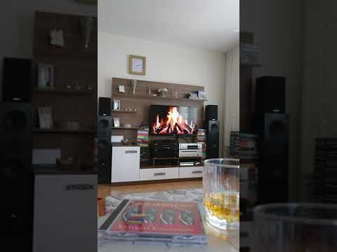 Sony CDP-X 202 ES Cd Player & harman kardon PM 650 Amplifier & Grundig Fine Arts FA3 Speakers