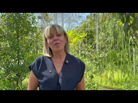 Expo Osaka, il Piemonte al Padiglione Italia per un viaggio tra natura e arte