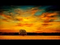 Hopeful - Jennifer O' Connor