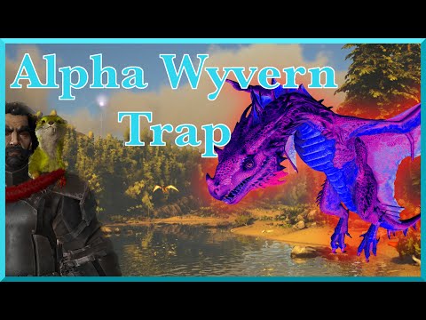 How to defeat a Alpha Wyvern