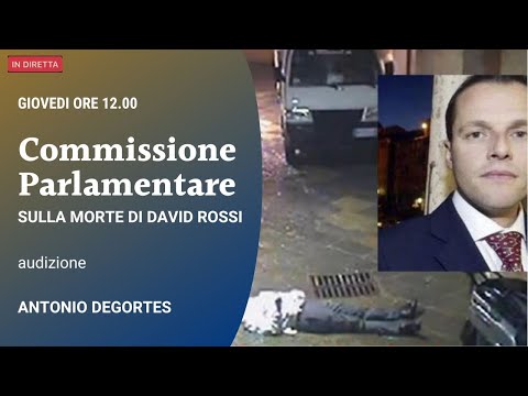 Commissione parlamentare David Rossi - Antonio Degortes