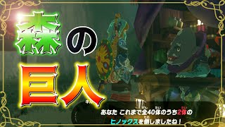 【ゼルダの伝説 ブレスオブザワイルド】#14 一つ目巨人を倒しに行こう【生放送】