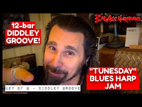 How To Not Suck with a Diddley!🎵- Blues Harmonica Jam  - 3 Position Blues Harp Licks  - Tunesday 92