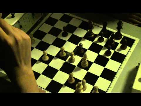 Martin Zvarík - Mária Halamová 1 - 0