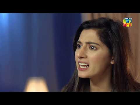 Beqadar- Episode 51 - Best Scene 04 - HUM TV