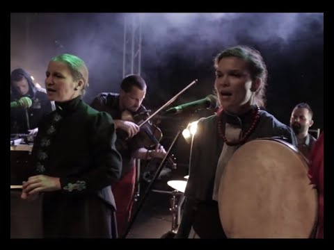 Krzikopa - In the forest meadow