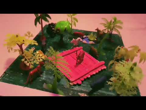 Wild animals project   