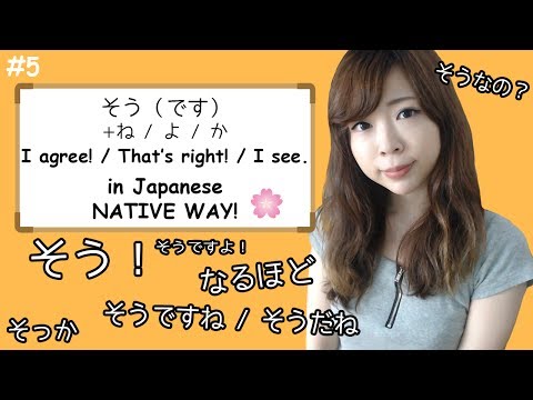 #5 How to say "I see", "I agree", "That's right" (そう family) - NATIVE WAY ┃JAPANESE AMMO Video