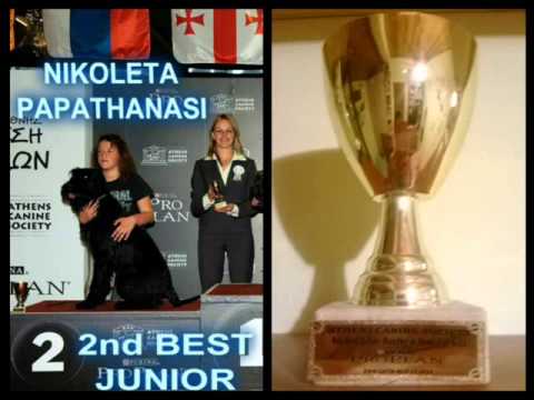 HANDLING DOGS BY NIKOLETA PAPATHANASI