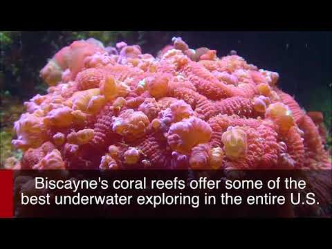 Biscayne Islands National Park