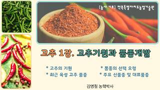 [고품질 고추 재배 기술 1강]  *고추기원과 품종개발 (품종의 선택요령, 최근 육성 품종, 신품종) #고품…