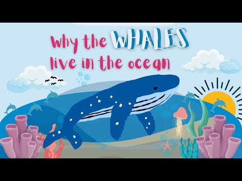 Why the whales live in the ocean ( A Pourquoi Tale)